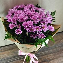 Букет цветов из:  Хризантемы #REPLACE_PRED# Шипицыно