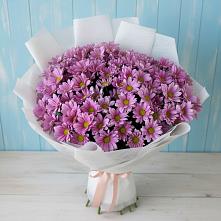 Букет цветов из:  Хризантемы в Шипицыно