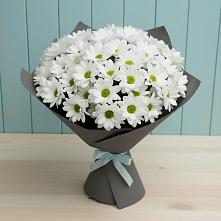 Букет цветов из:  Хризантемы #REPLACE_PRED# Шипицыно
