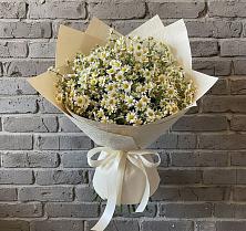 Букет цветов из:  Ромашки в Шипицыно