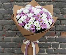 Букет цветов из:  Хризантемы в Шипицыно