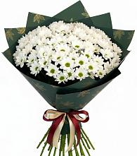 Букет цветов из:  Хризантемы в Шипицыно