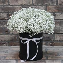 Цветочная композиция из Гипсофила в шляпной коробке в Шипицыно