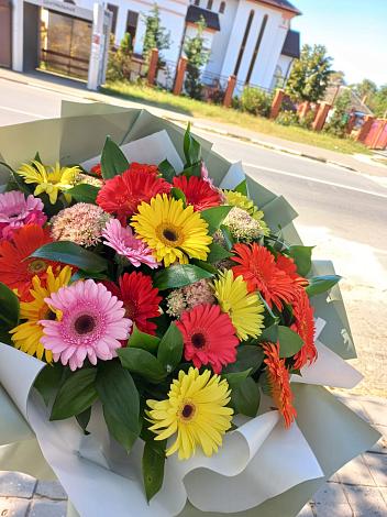 Букет цветов из: Герберы в Шипицыно
