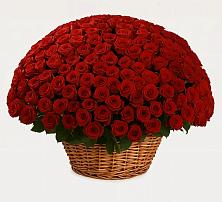 Премиум букет из: Розы в Шипицыно